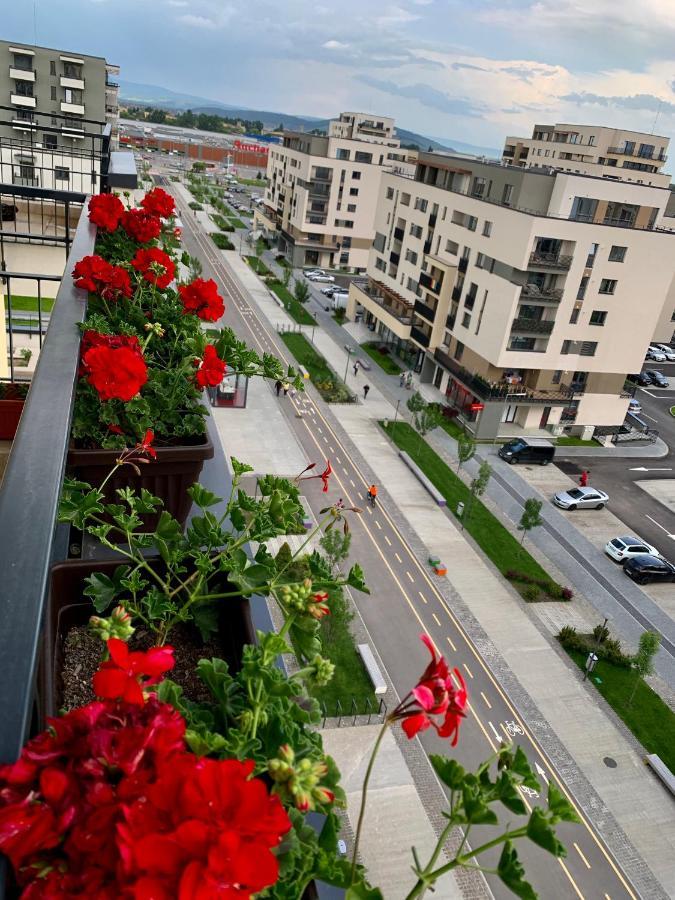 Executive Apartment Avantgarden Coresi 布拉索夫 外观 照片