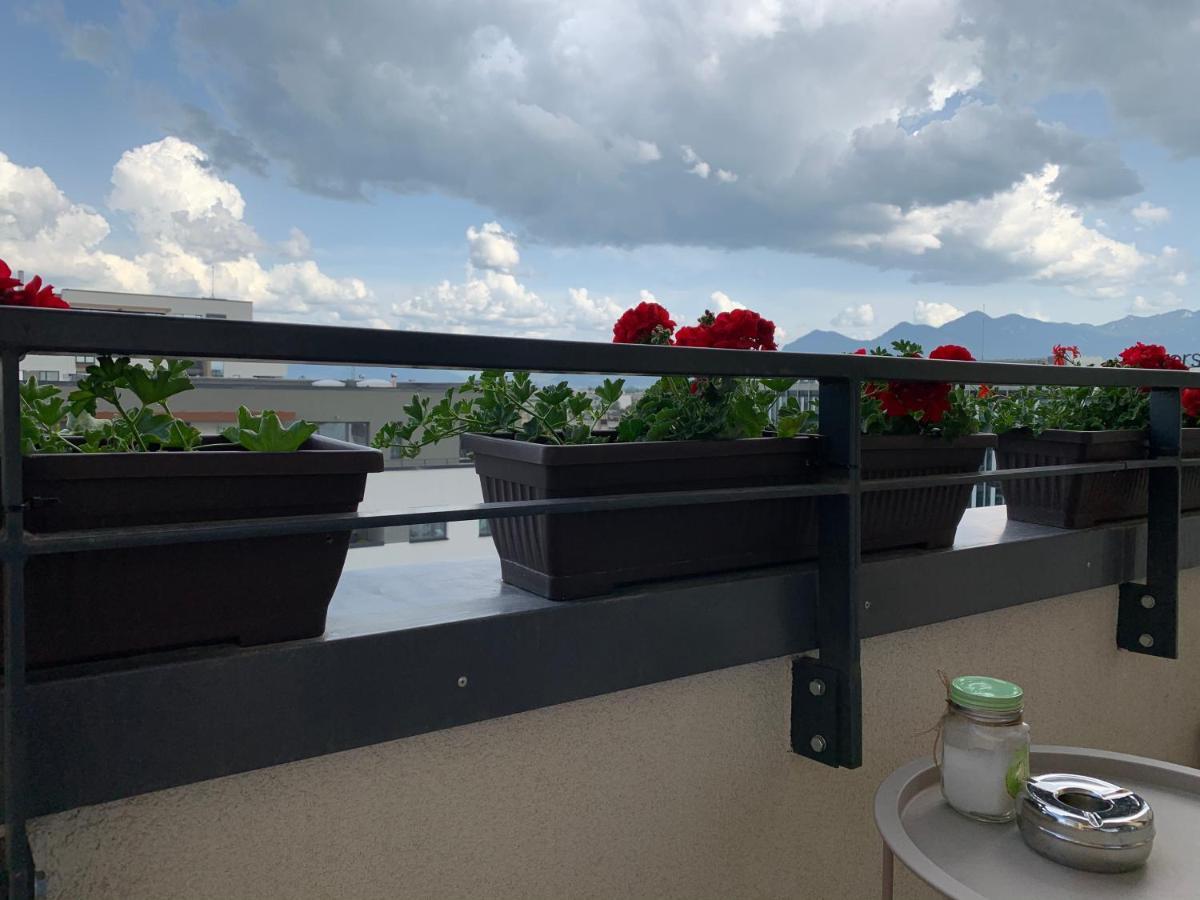 Executive Apartment Avantgarden Coresi 布拉索夫 外观 照片