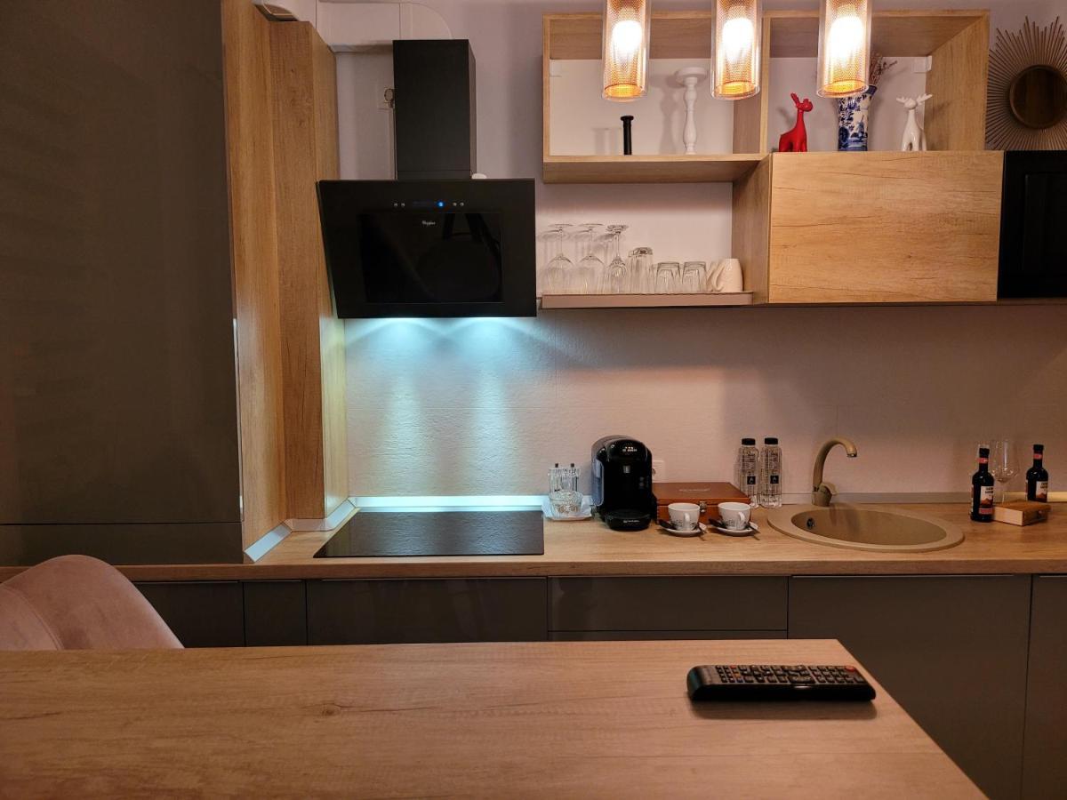 Executive Apartment Avantgarden Coresi 布拉索夫 外观 照片